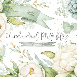 Aquarell weiße Pfingstrose Clipart. Einzelne PNG-Dateien Blumen und Blätter ClipArt. Grün, Mintfarbenes Band. Kommerzielle Nutzung. Sofortiger Download.