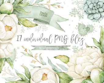 Watercolor White Peony clipart. Individual PNG files flowers and leaves clip art. Green, mint ribbon. Commercial use. Instant download.