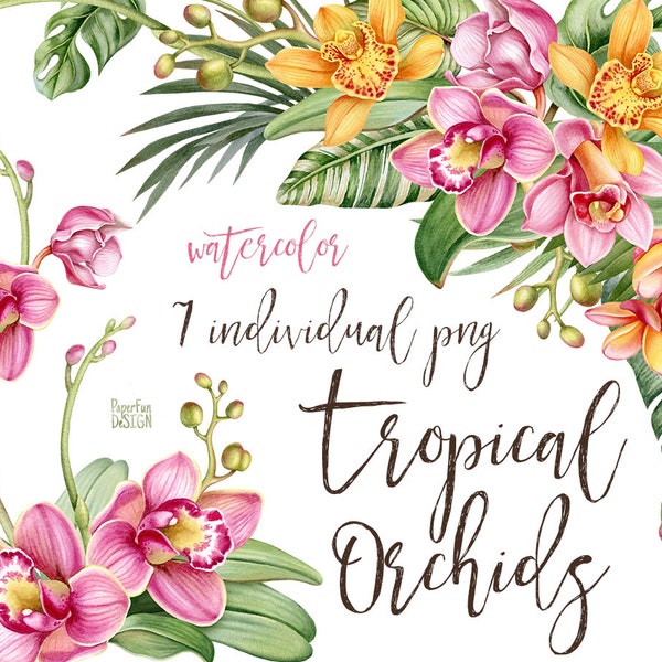 Clipart individuel d’orchidées aquarelles. Bouquet, couronne, cadre clipart. Clipart de fleurs et de feuilles tropicales jaunes, roses.
