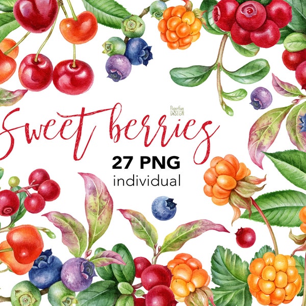 Watercolour wild berry clip art. Individual digital PNG files. Watercolor yellow, red, blue berries clipart.