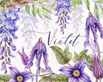 Fiori viola dell'acquerello, ClipArt di fiori viola, Fiore viola dipinto a mano, Risorse per inviti di nozze, Glicine, Clematide.