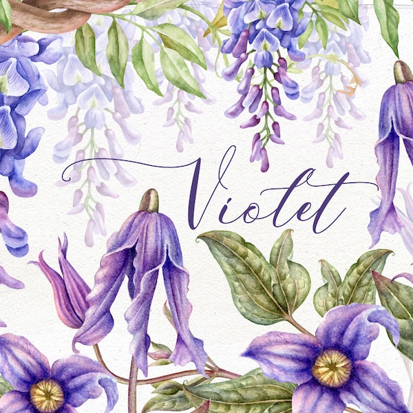 Fleurs violettes aquarelles, fleurs violettes Clip Art, fleur violette peinte à la main, ressources d’invitations de mariage, glycine, clématite.