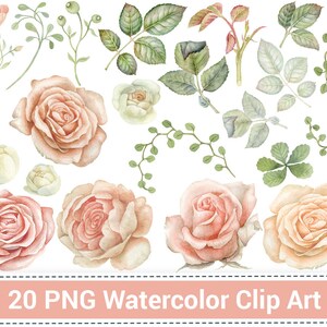 May include: A set of 20 watercolor clip art images featuring delicate pink and white roses, green leaves, and vines. These illustrations are perfect for adding a touch of elegance to your digital or printed projects.