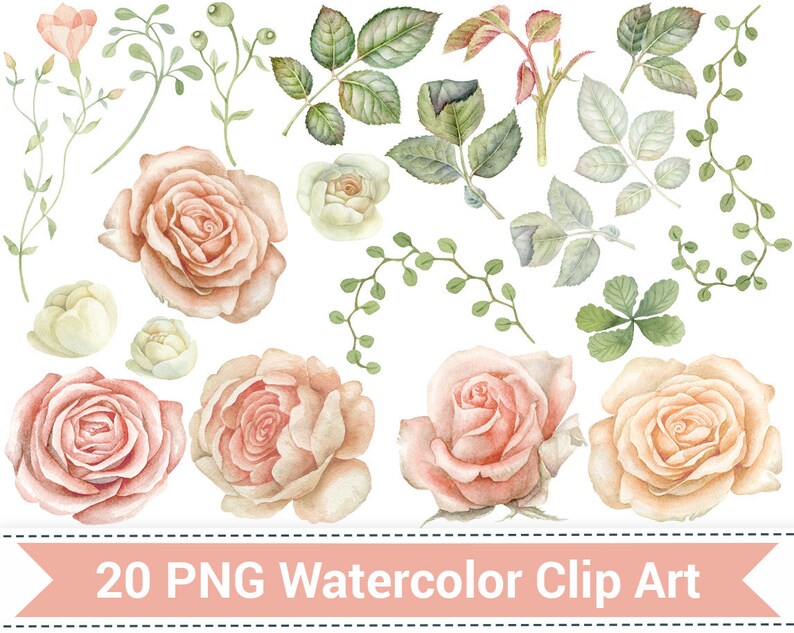May include: A set of 20 watercolor clip art images featuring delicate pink and white roses, green leaves, and vines. These illustrations are perfect for adding a touch of elegance to your digital or printed projects.