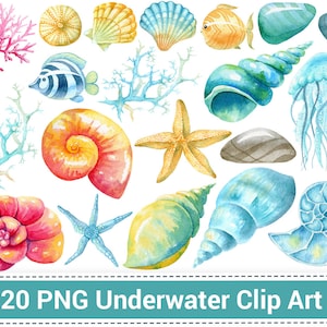 Imágenes Prediseñadas Náuticas. Imágenes prediseñadas submarinas de acuarela, criaturas marinas, imágenes prediseñadas pintadas a mano, algas marinas, conchas, imágenes prediseñadas de peces, vida oceánica.
