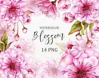 Cherry blossom watercolor clip art. Easter flowers clipart. Wedding romantic spring pink flowers.