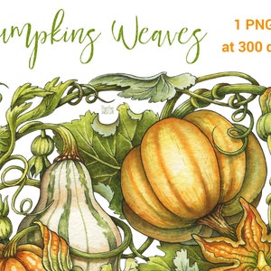 Aquarel pompoenen clipart. Digitaal Thanksgiving PNG afdrukbaar kaartontwerp met hoge resolutie. Herfstoogst, schattige orang-oetan-pompoenen.