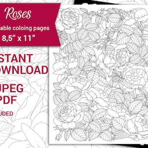 PDF, JPEG  Digital Adult Coloring Book, Botanical Printable Coloring Page, Rose Flower 8.5&#39;&#39;x11&#39;&#39; Valentine coloring page.