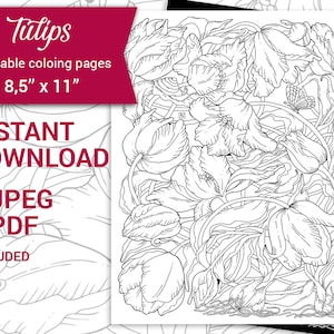 PDF, JPEG Digital adult coloring page, Botanical printable coloring book, Tulips Flower 8.5&#39;&#39;x11&#39;&#39;