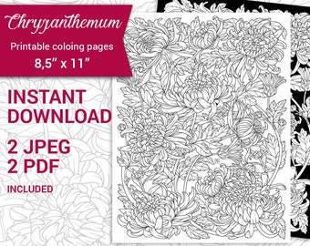 PDF, JPEG Digital Adult Coloring Book, Botanical Printable Coloring Page, Chrysanthemum Flower 8.5''x11'' Valentine coloring page.