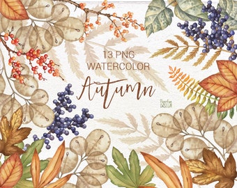 Watercolor autumn clipart. Individual PNG fall clip art. Hand-painted high resolution Thanksgiving printable art.