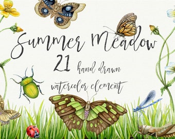 Watercolor Individual clipart PNG. Summer Meadow, Butterfly, Bugs, Dragonfly, Wall Art, Wall Print,  Nursery Clip Art, Kids Clipart.