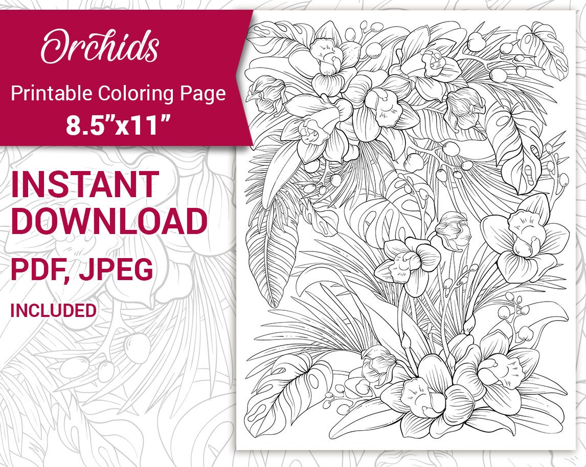 pdf jpeg printable adult coloring page botanical printable etsy singapore