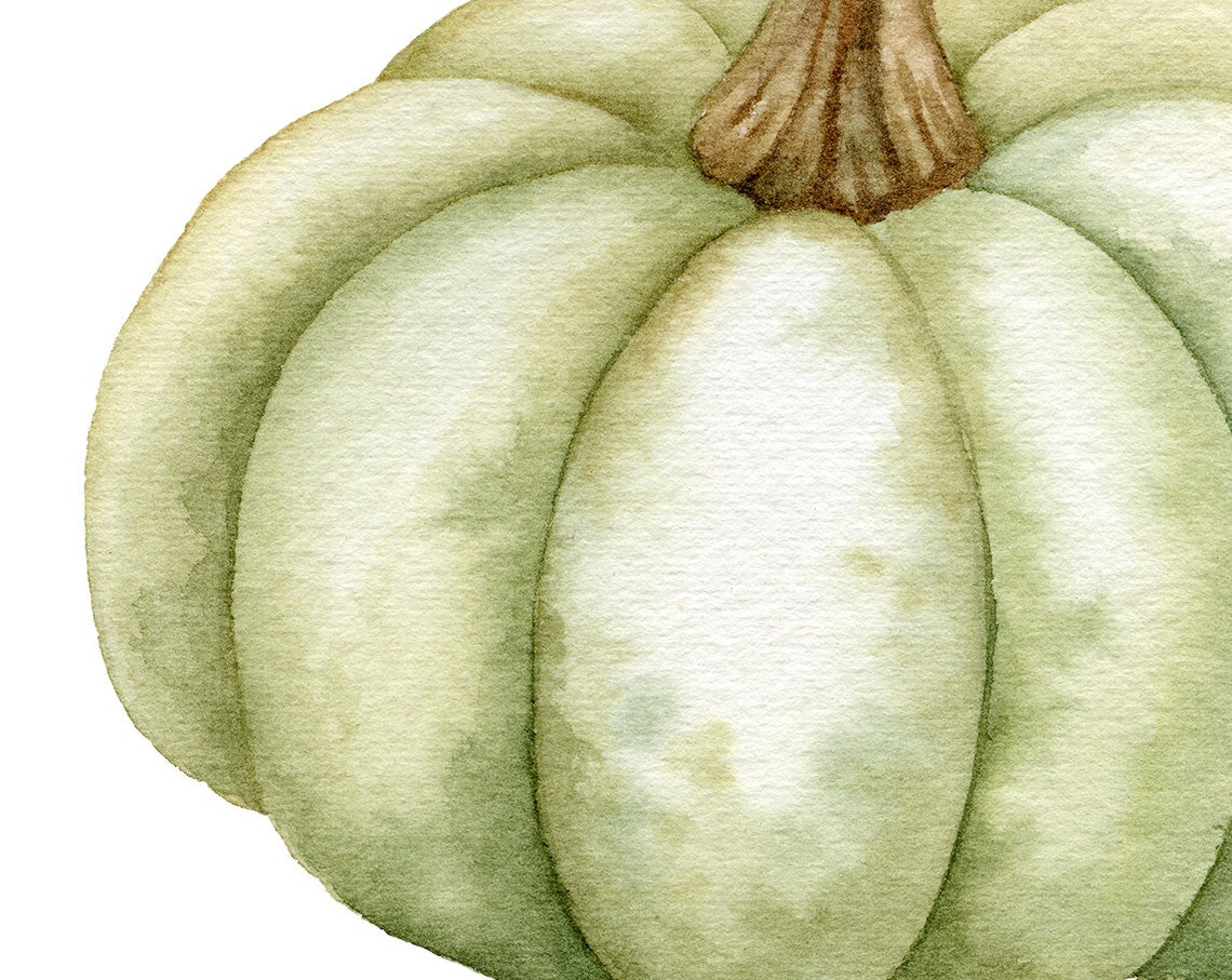 Watercolor PNG Pumpkins Individual Clipart. Hand Painted Individual ...