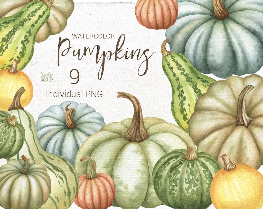 Watercolor PNG Pumpkins Individual Clipart. Hand Painted Individual ...