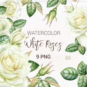 ClipArt di rose bianche dell'acquerello. Rosa vintage da matrimonio dipinta a mano. Clipart romantici di fiori e foglie. Uso commerciale. PNG individuale.