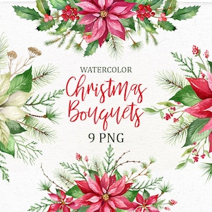 Poinsettia Holly Steams, Natal Aquarela Bouquet Clip Art, Scarlet Red Flower Clipart, Digital Floral Berry Mistletoe, Holiday.