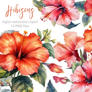 Hibiscus flower Digital Watercolor clipart. AI illustration. Tropical Hawaii clip art. Instant download. Commercial use.