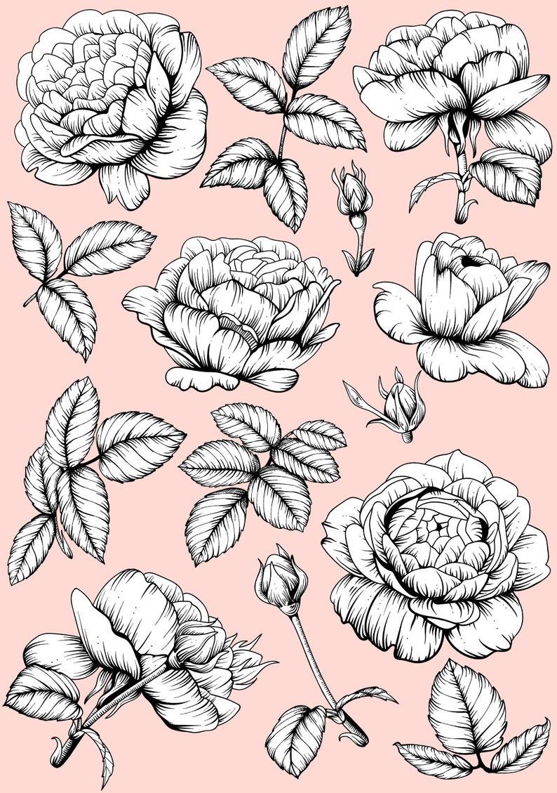 Download Eps Formats Ink Painted Roses Clip Art Svg Png Hand Drawn Vintage Roses Clipart Clip Art Art Collectibles Kromasol Com