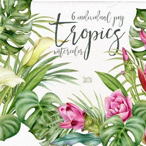 Aquarell tropische Einzelarrangements mit rosa Curcuma Blüten und tropischen Blättern.