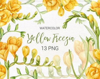 Watercolor Yellow Fressia Flower Hand painted clip art. Wedding floral clipart.