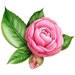 Mary