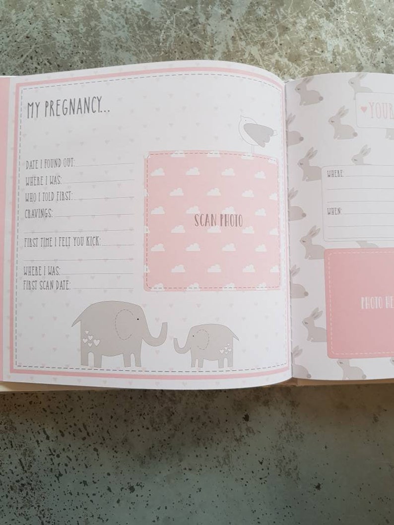 My First Year Record Book / Baby Photo Album in Pink Etsy