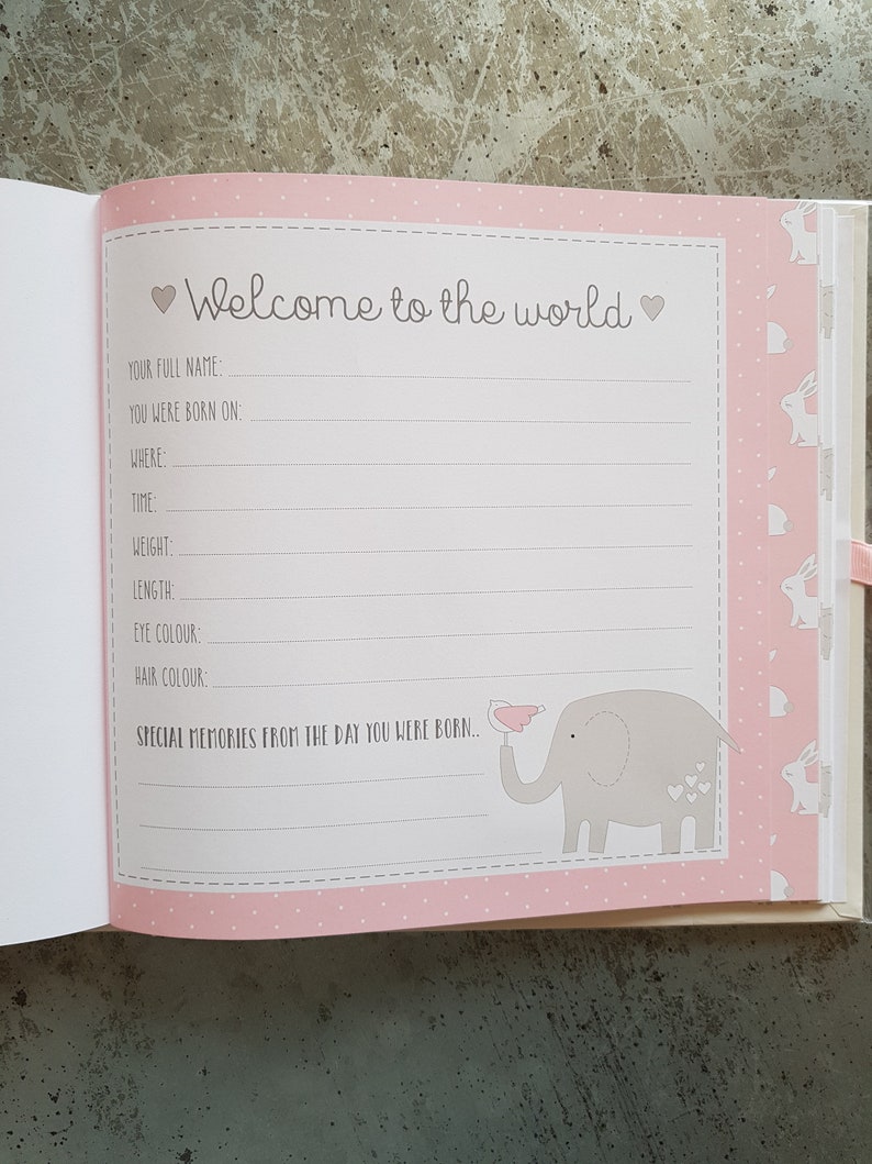My First Year Record Book / Baby Photo Album in Pink Etsy