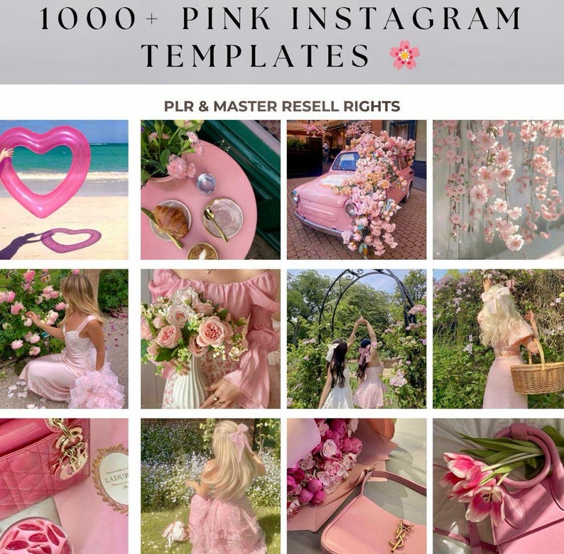Pink Aesthetic Faceless Reels, Pink Travel Reels, Pink Tik Tok Reels, Pink Instragram Videos, Pink Faceless Digital marketing with PLR & MRR