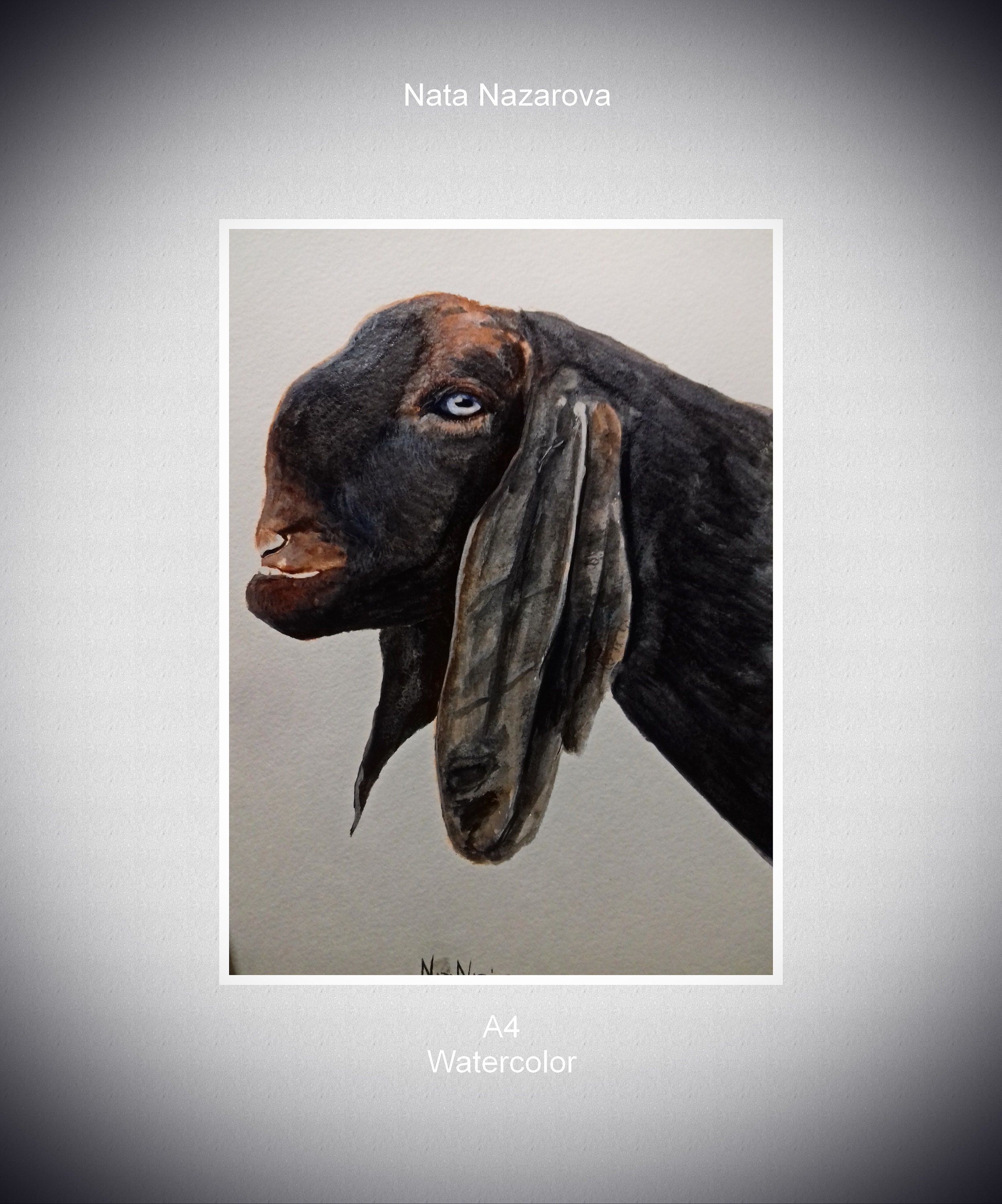 Are Your Damascus Goats Inbred? The Dna Test Results Will Shock You - lxc2hzt