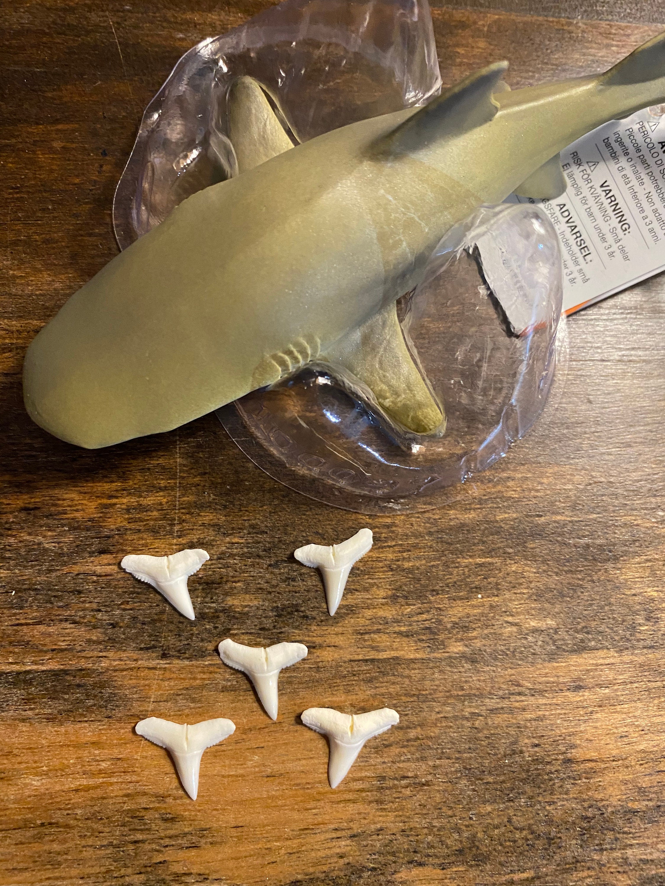 Lemon Shark Tooth Set with 5 Lemon Shark Figurine Etsy