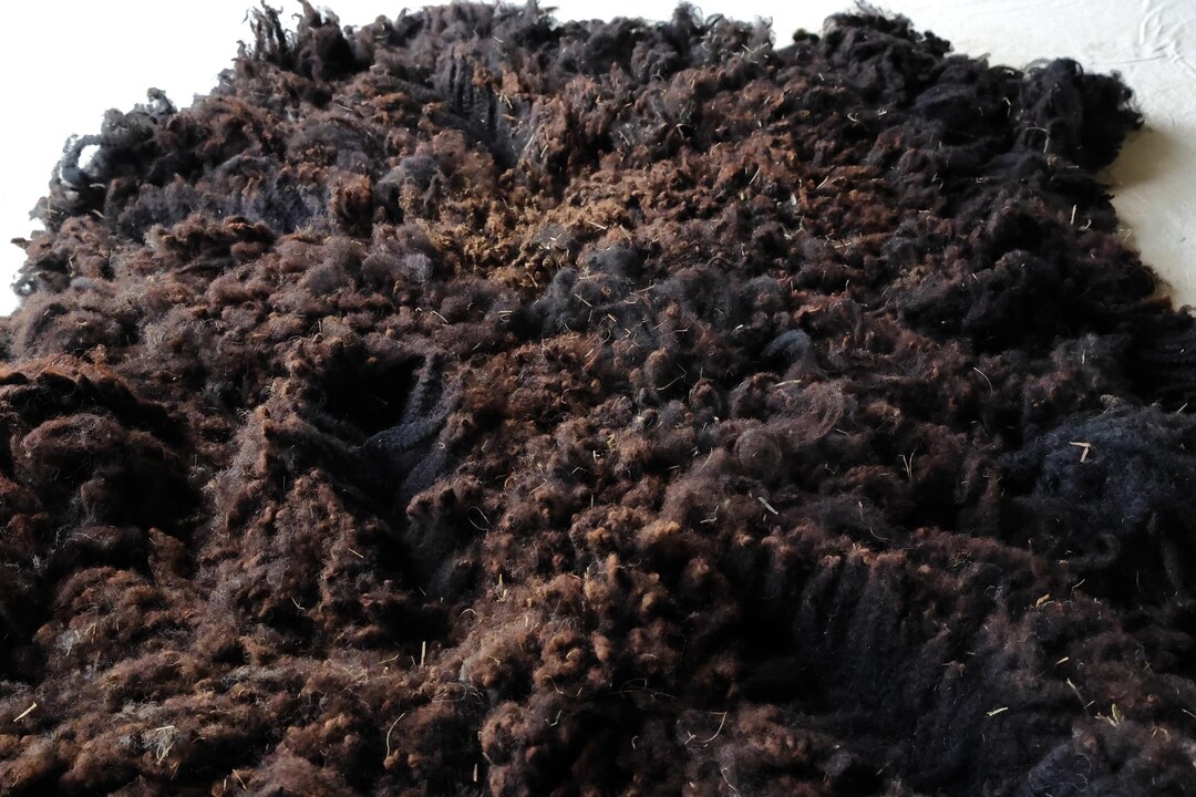 Raw Shetland Wool, Unwashed, Full Fleece, Black_ Luna - Etsy