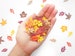 Autumn Leaves Confetti for table scatter, scrapbook, bullet journal, wedding, party, fall Thanksgiving celebration, eco friendly card stock 