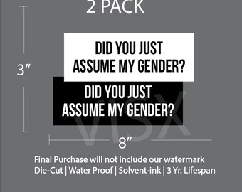 Did you Just Assume my gender  Bumper Sticker Interior Exterior JDM Weatherproof Funny Meme Naughty Explicit car tailgater Karen boomer gay
