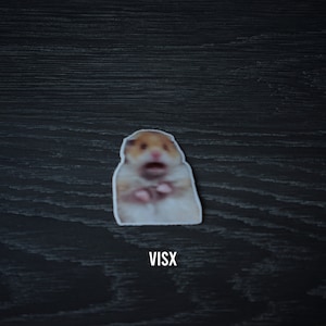 May include: A sticker of a hamster with a surprised expression, with the word "VISX" printed below it.