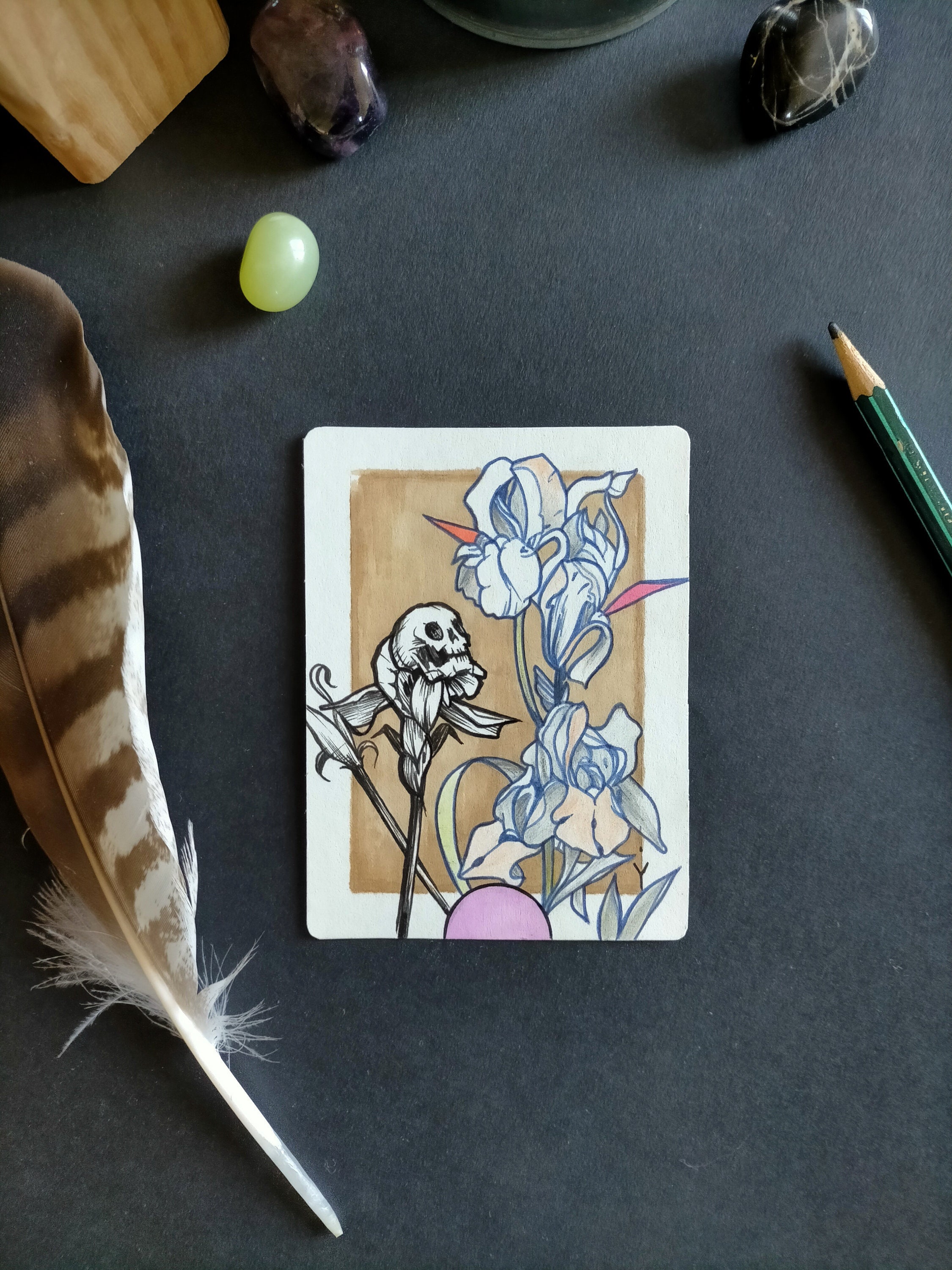 Original Illustration Markers Les Fleurs de Canaan