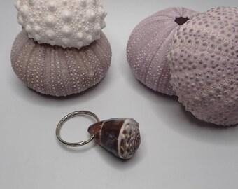 Schmedium Ocean Tumbled Abbreviated Cone Keychain