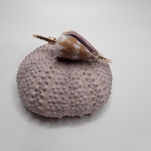 Puede incluir: Un brazalete de oro con una pequeña concha marrón y morada unida. El brazalete está apoyado en un erizo de mar morado.