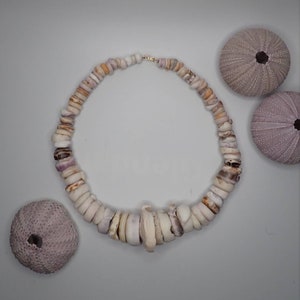 Maui Shells - Etsy UK