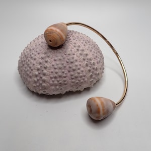 May include: A gold bangle bracelet with two seashells attached. The seashells are a light brown colour with white stripes.