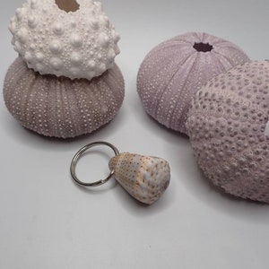 Puede incluir: Tres erizos de mar púrpuras, uno con la parte superior blanca, y una pequeña concha de mar marrón en un llavero plateado.