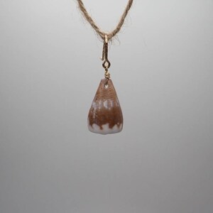 Puede incluir: Un colgante de concha de mar marrón y blanco en un collar de cuerda marrón. La concha de mar tiene forma de lágrima con un interior blanco y un exterior marrón.