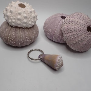 Puede incluir: Una colección de conchas de erizo de mar en tonos blanco y lavanda, con un llavero de concha. Las conchas tienen una superficie texturizada y punteada. El llavero presenta una concha en forma de cono. Decoración costera.