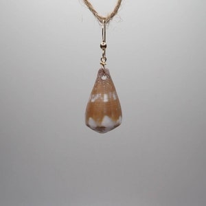 Puede incluir: Un par de pendientes colgantes de oro con un colgante de concha marrón y blanco.