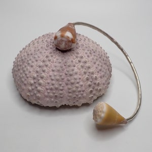 Puede incluir: Un brazalete de plata con dos conchas adheridas. La concha más grande es un erizo de mar rosa claro con una superficie texturizada. La concha más pequeña es un cono marrón claro.