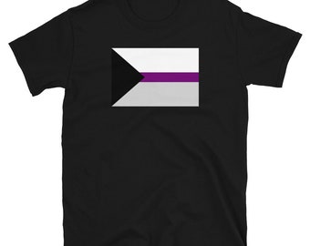 Demisexual Pride Flag Flag T Shirt / Pride Gifts / LGBT Gifts / Gay Pride Sexuality Shirts