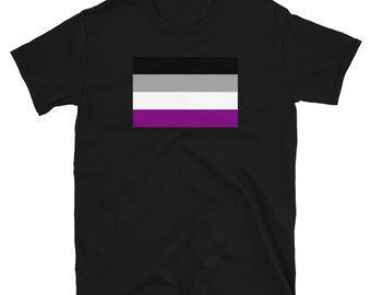 Asexual Pride Flag Flag T Shirt / Pride Gifts / LGBT Gifts / Gay Pride Sexuality Shirts