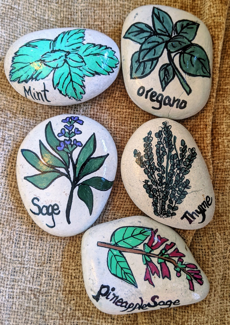 Herb Garden Stone Painted Rock Herb Marker Garden Club Etsy