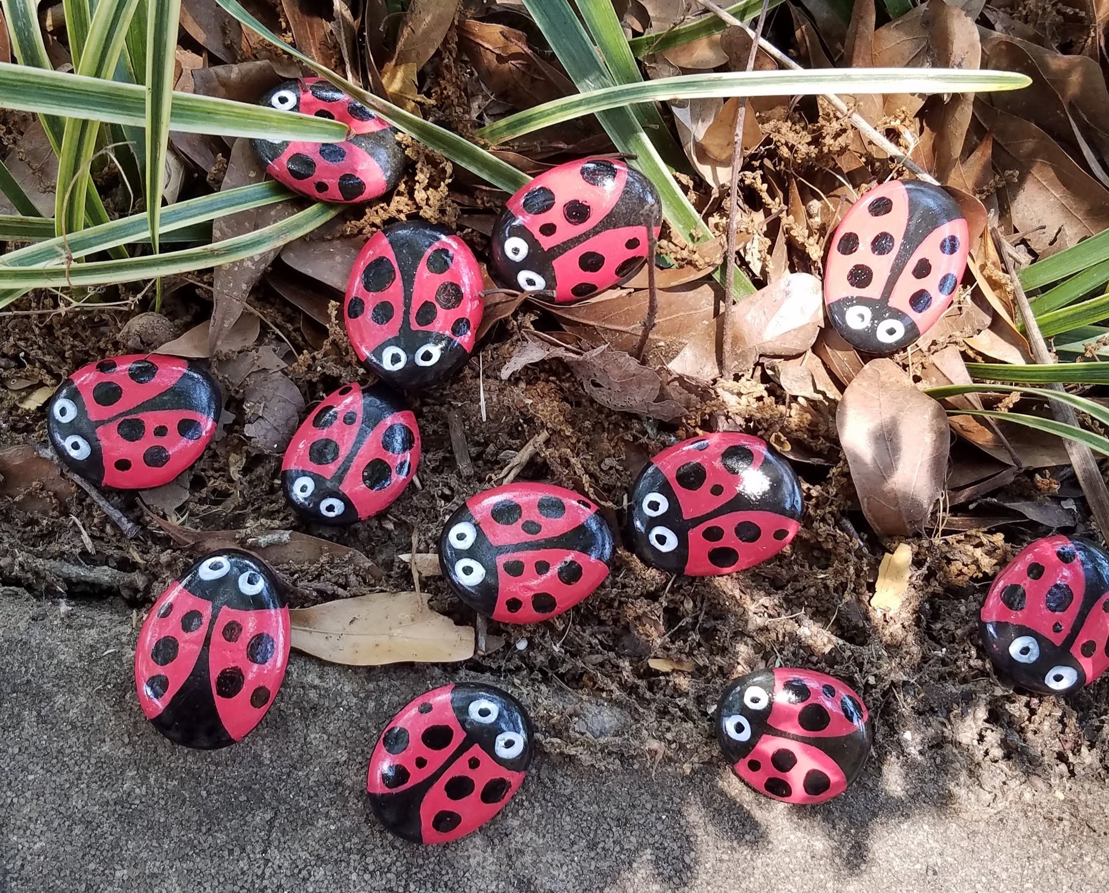 Pezzi Decorazione In Metallo A Forma Di Coccinella Decorazione Da Parete In Metallo A Forma Di Coccinella Decorazione Da Parete In Metallo A Forma Di Coccinella Per Giardino Prato Decorazione Per La C 84486679 - 5