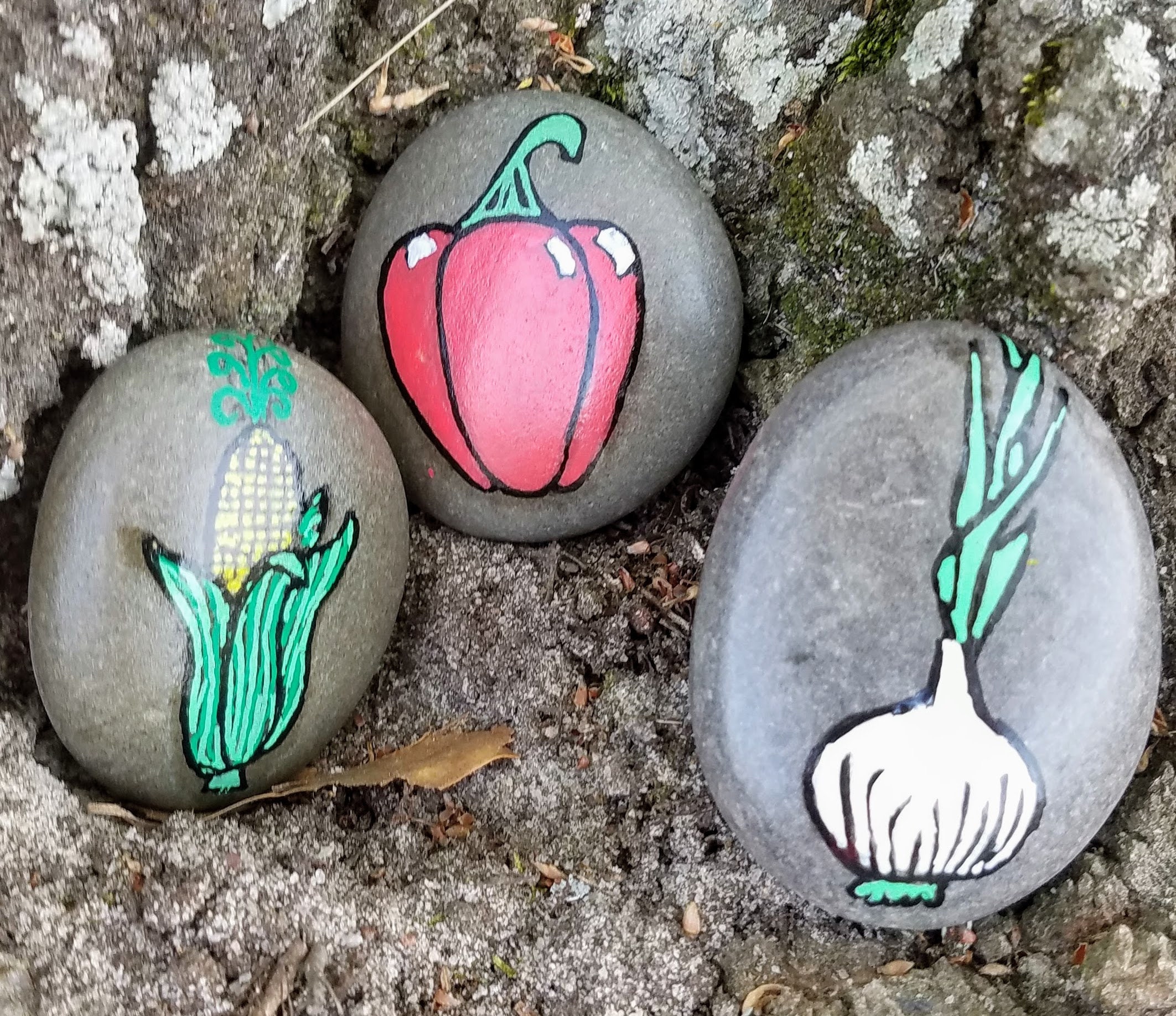 How to Make Garden Markers by Painting Stones